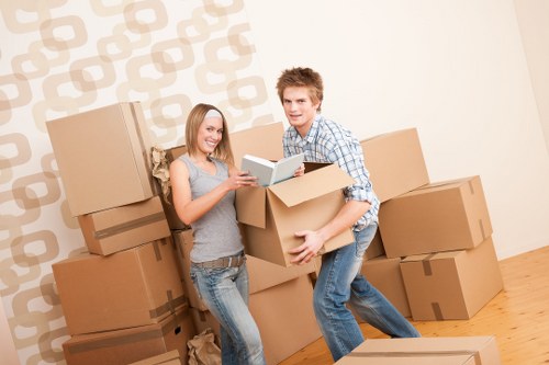 Removal van options for different load sizes