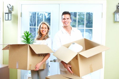 Boxes and protective packing materials used for a South Norwood move